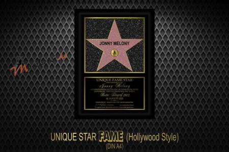 Hollywood Fame Star Stern